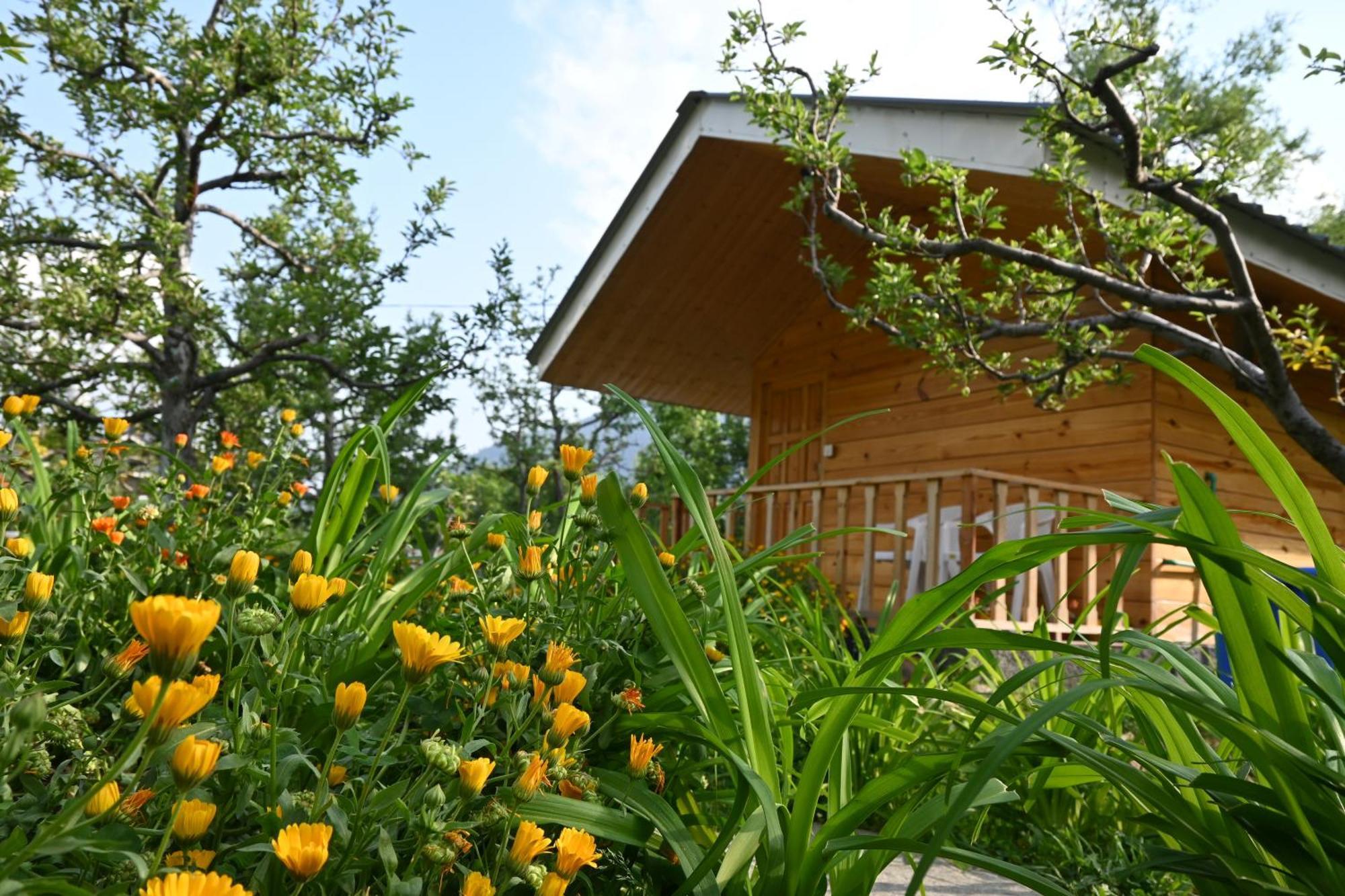 Cascade Mountain Retreat Manali Bed and Breakfast Buitenkant foto