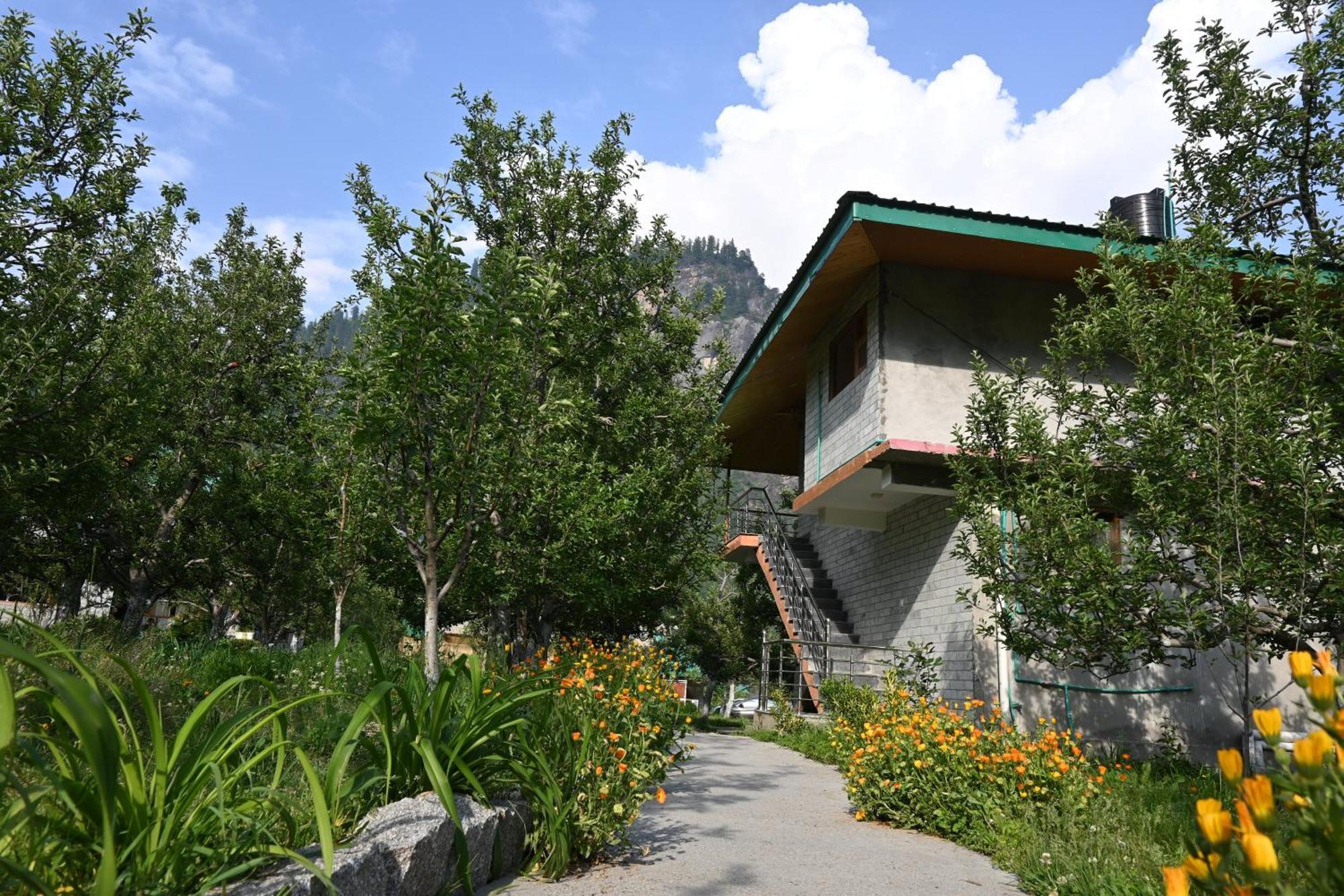 Cascade Mountain Retreat Manali Bed and Breakfast Buitenkant foto