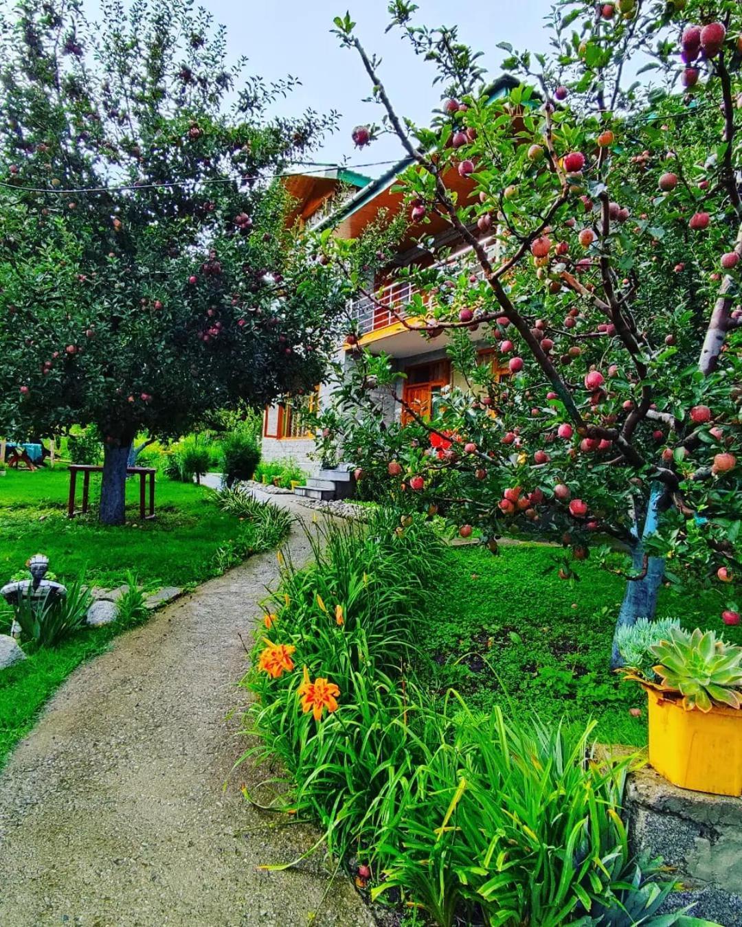 Cascade Mountain Retreat Manali Bed and Breakfast Buitenkant foto